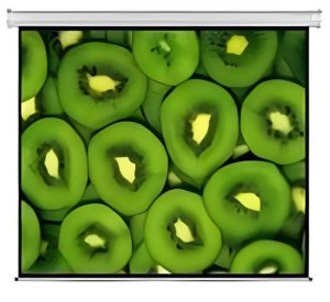 Esquire Electric Projector Screen 300 X 169